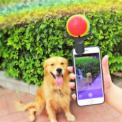 Pet photo props toy pet photo selfie artifact funny dog camera phone clip tennis selfie clip