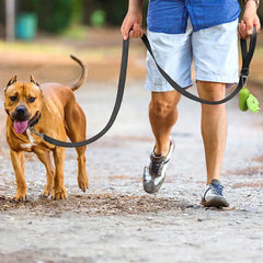 Reflective Pet Harness & Leash for Walking & Training.